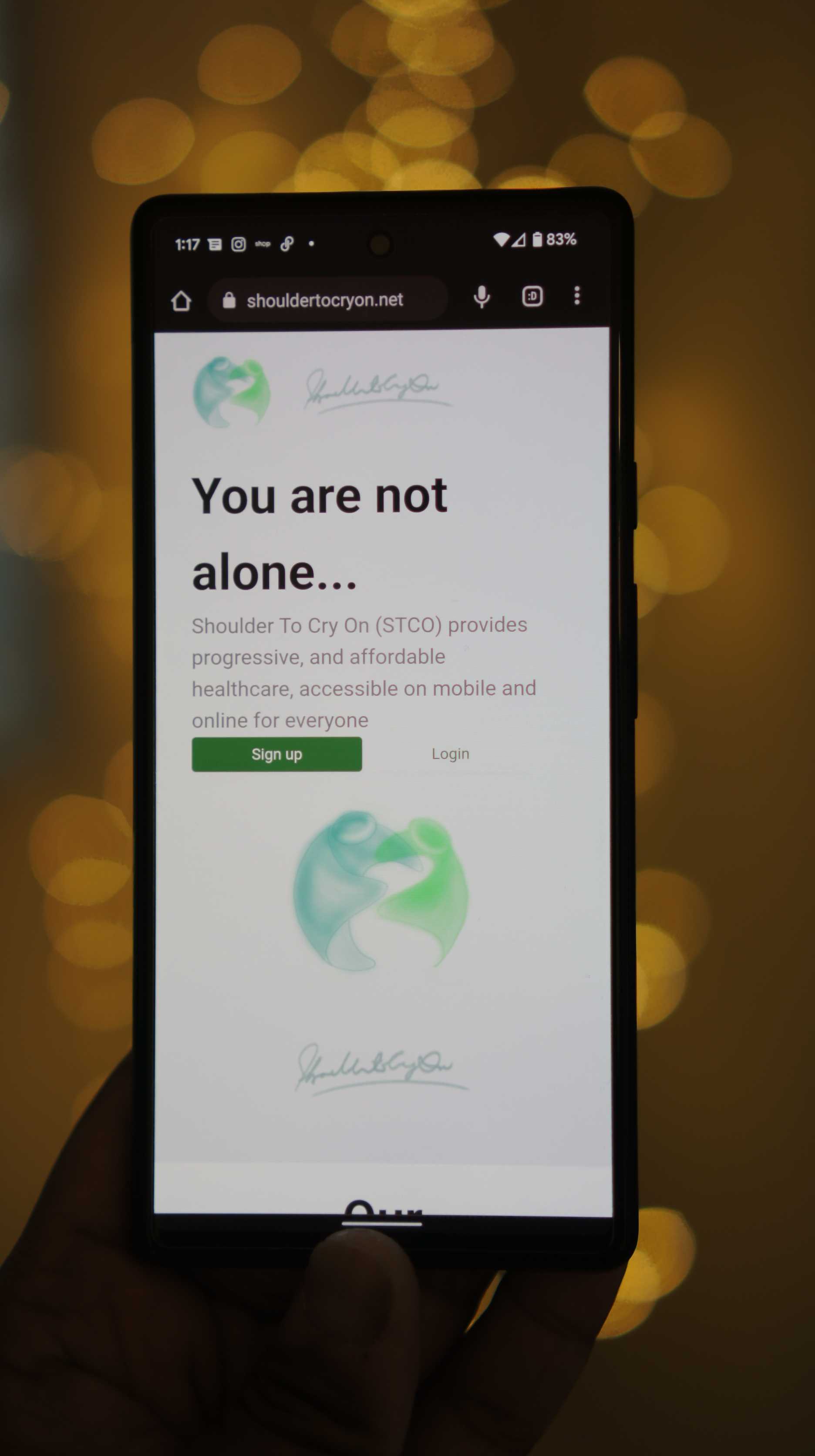 Mobile & Web Applications